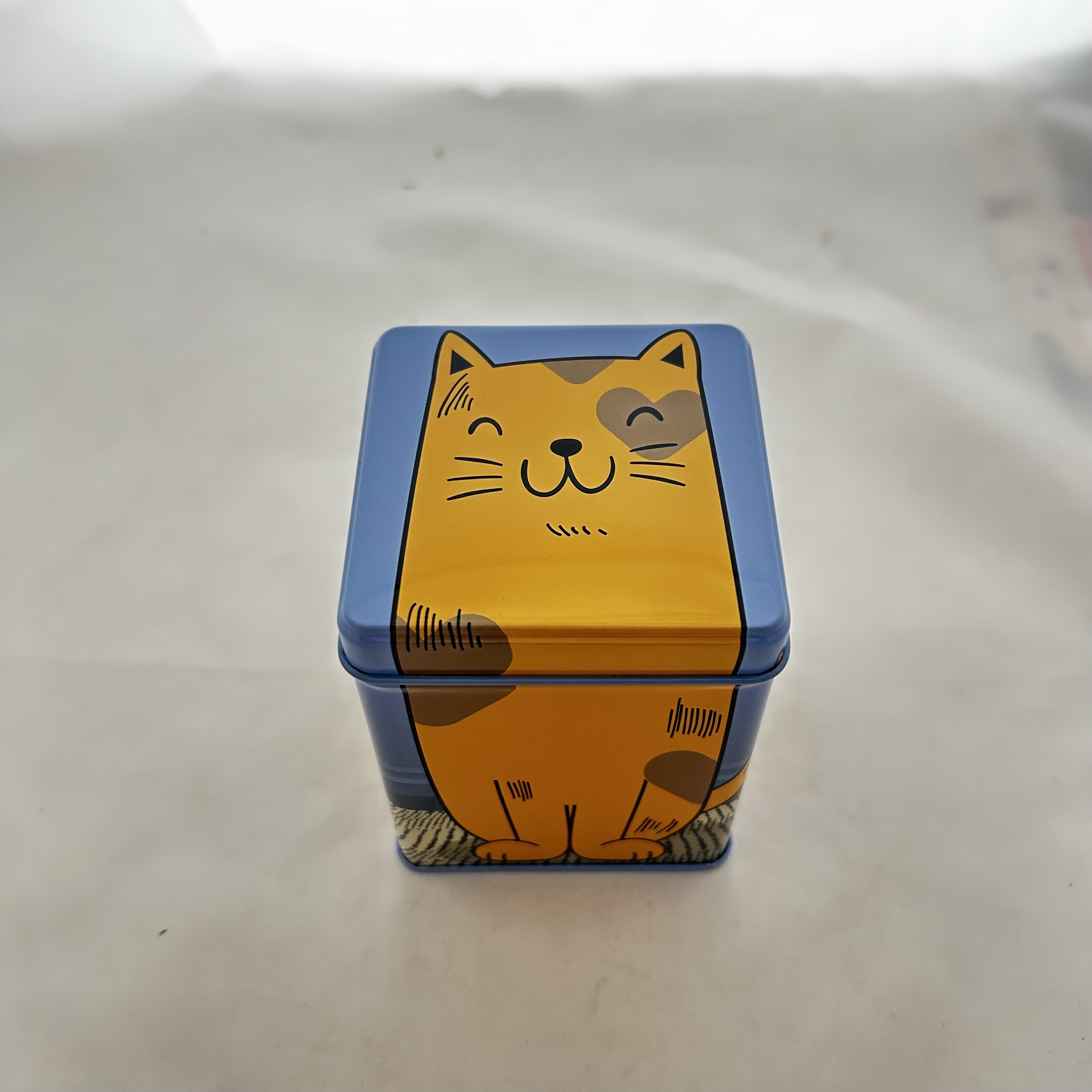 Dose Katze blau, 100 g