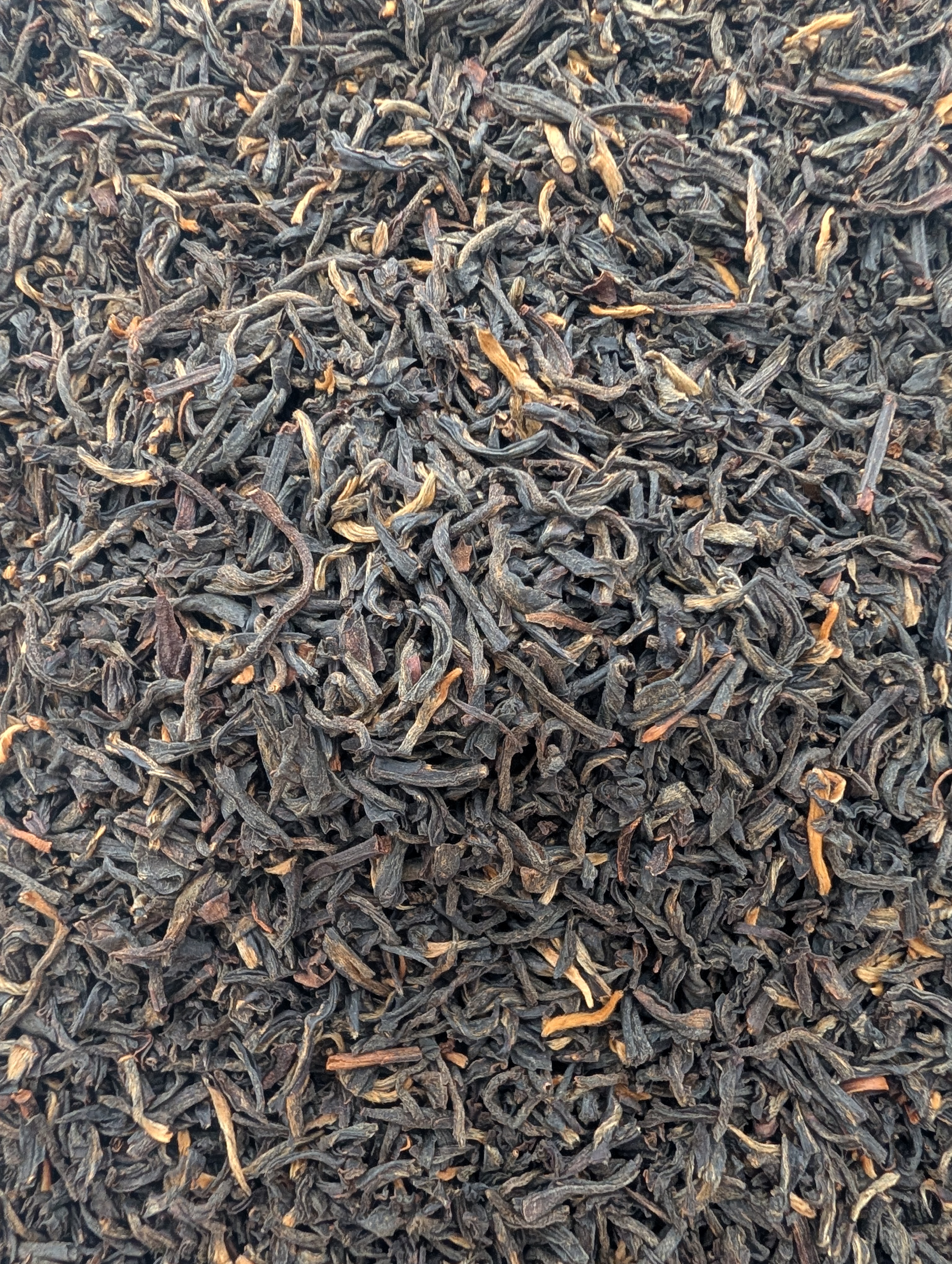 Yunnan BIO