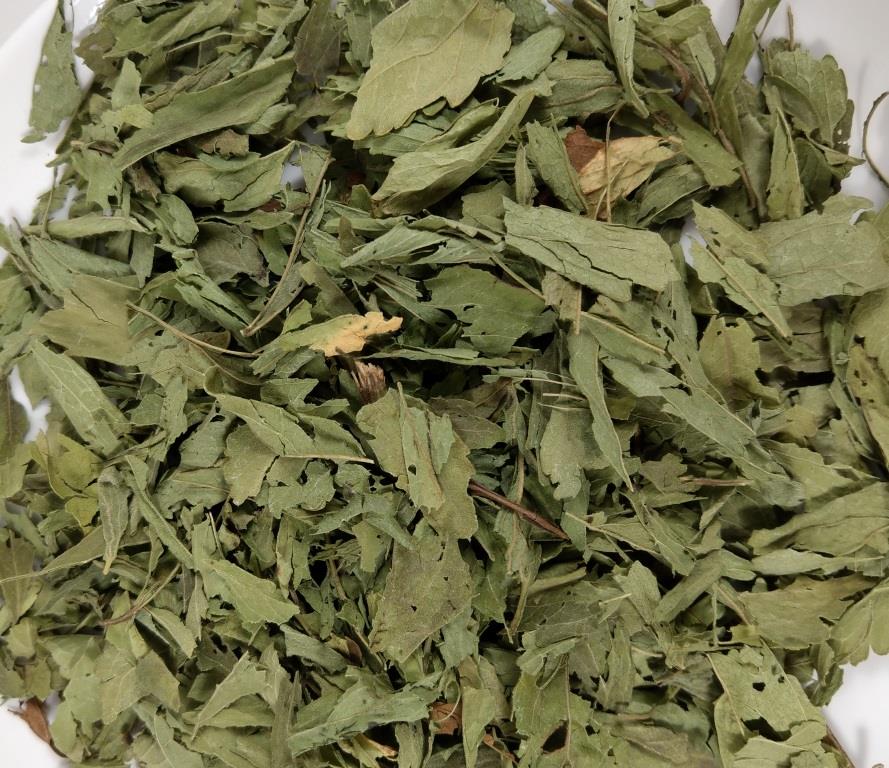 Stevia Blätter aus biologischem Anbau