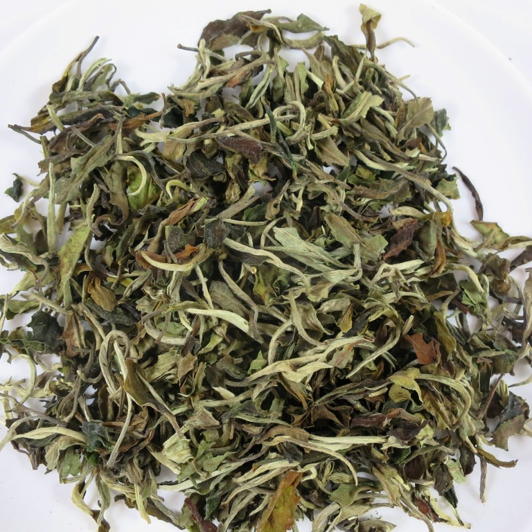 Pai_Mu_Tan_First_Grade_Bio