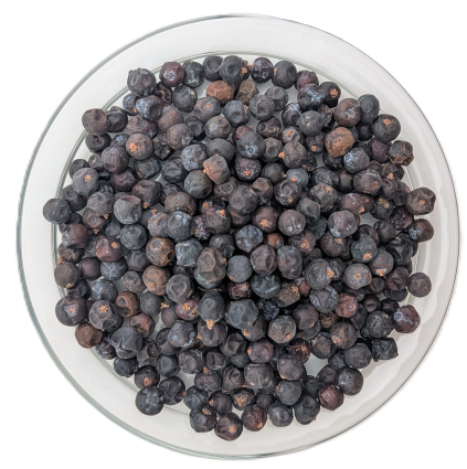 Draufsicht auf eine runde Glasschale vor weißem Hintergrund, prall gefüllt mit einer großen Menge kugelrunder Wacholderbeeren in einem matten Dunkelblau bis fast Schwarz, vermischt mit einigen braun getönten Beeren.