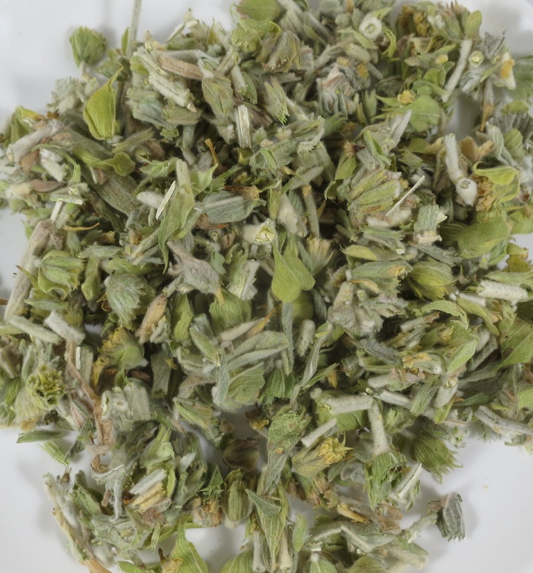 Griechischer-Bergtee-Bio-Schnittware Griechischer Bergtee Bio Schnittware